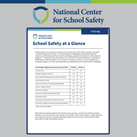 SchoolSafetyAtAGlance_NCFSS