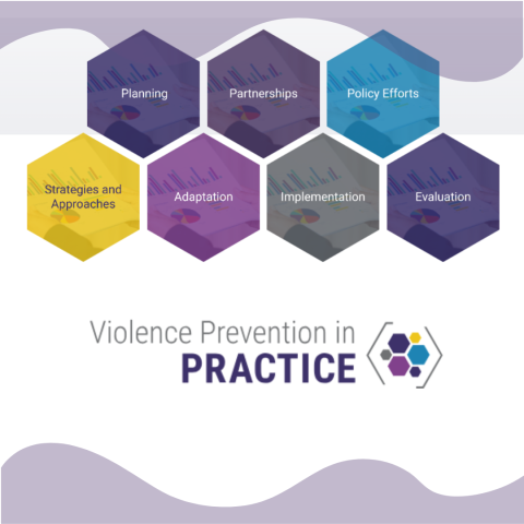 2024-11-11_ViolencePreventionInPractice