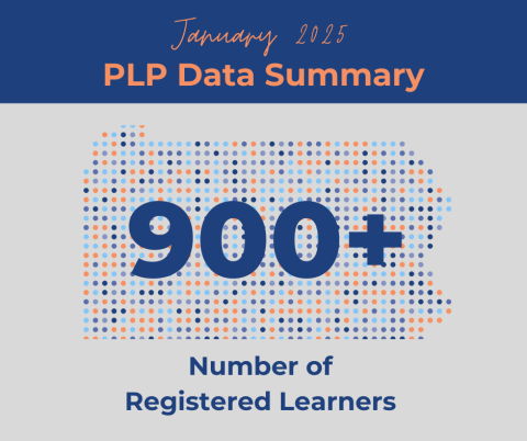 2025 January JJDPC Report