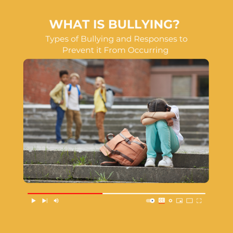 What is Bullying